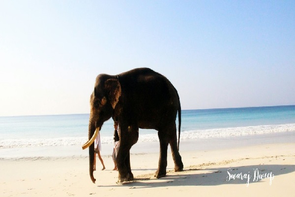 Swaraj Dweep in andaman