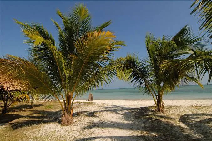 Silver Sand Beach Resort Room